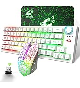 60% Wireless Gaming Keyboard and Mouse Combo 64 Keys RGB Chorma Backlight Rechargeable 4000mAh Ba...