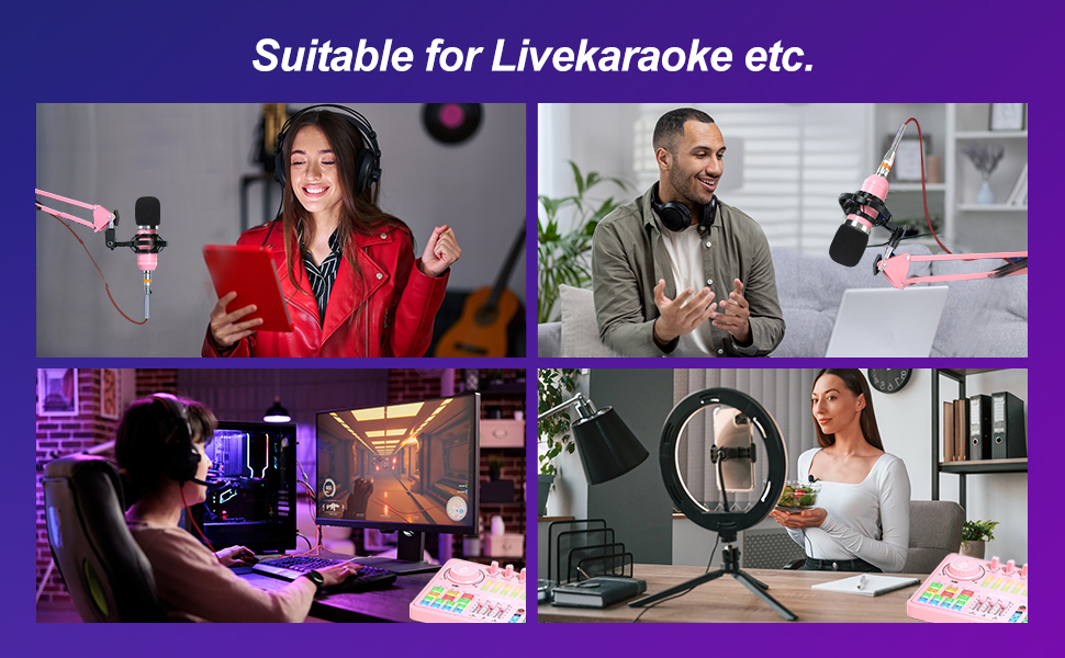 Suitable for Livekaraoke etc.