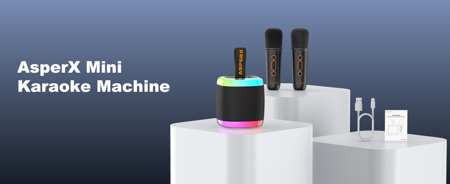 karaoke machine for adults