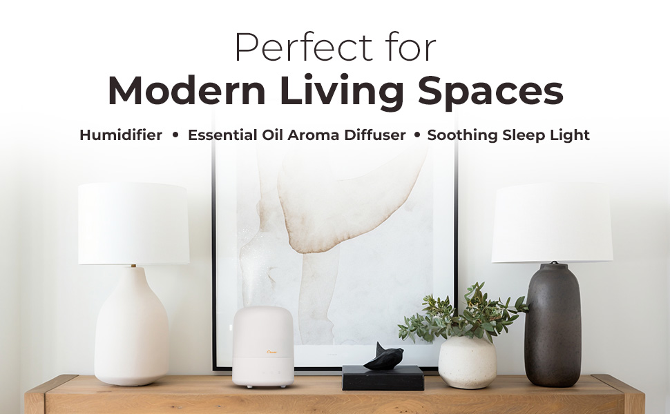 product showcased in modern living decor