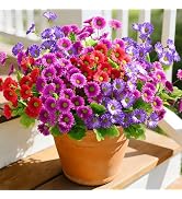 Waipfaru Artificial Flowers for Outdoors Faux Plants, UV Resistant Artificial Outdoor Flowers, Si...