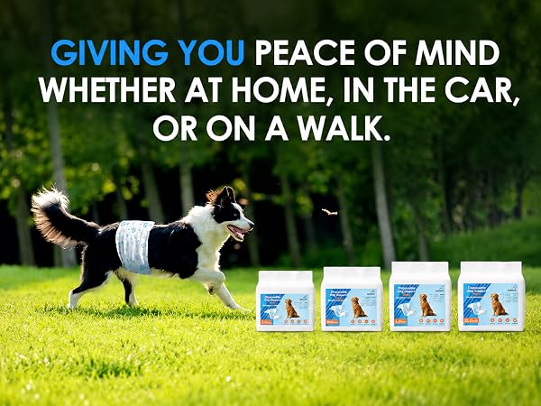 GIVING YOU PEACE OF MIND WHETHERAT HOME, IN THE CAR, OR ON A WALK.