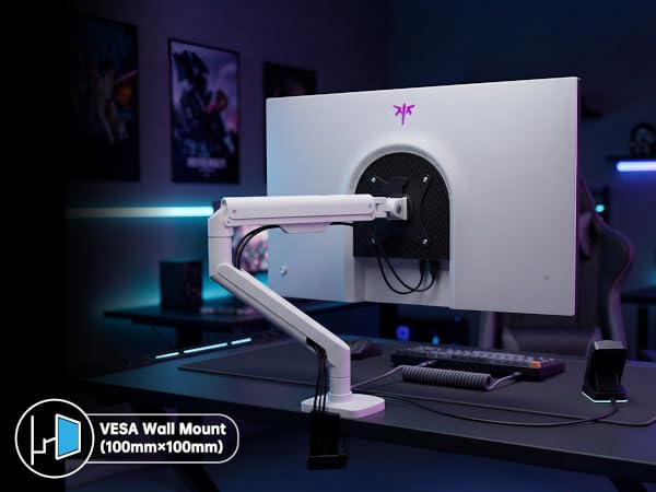 vesa wall mount monitor