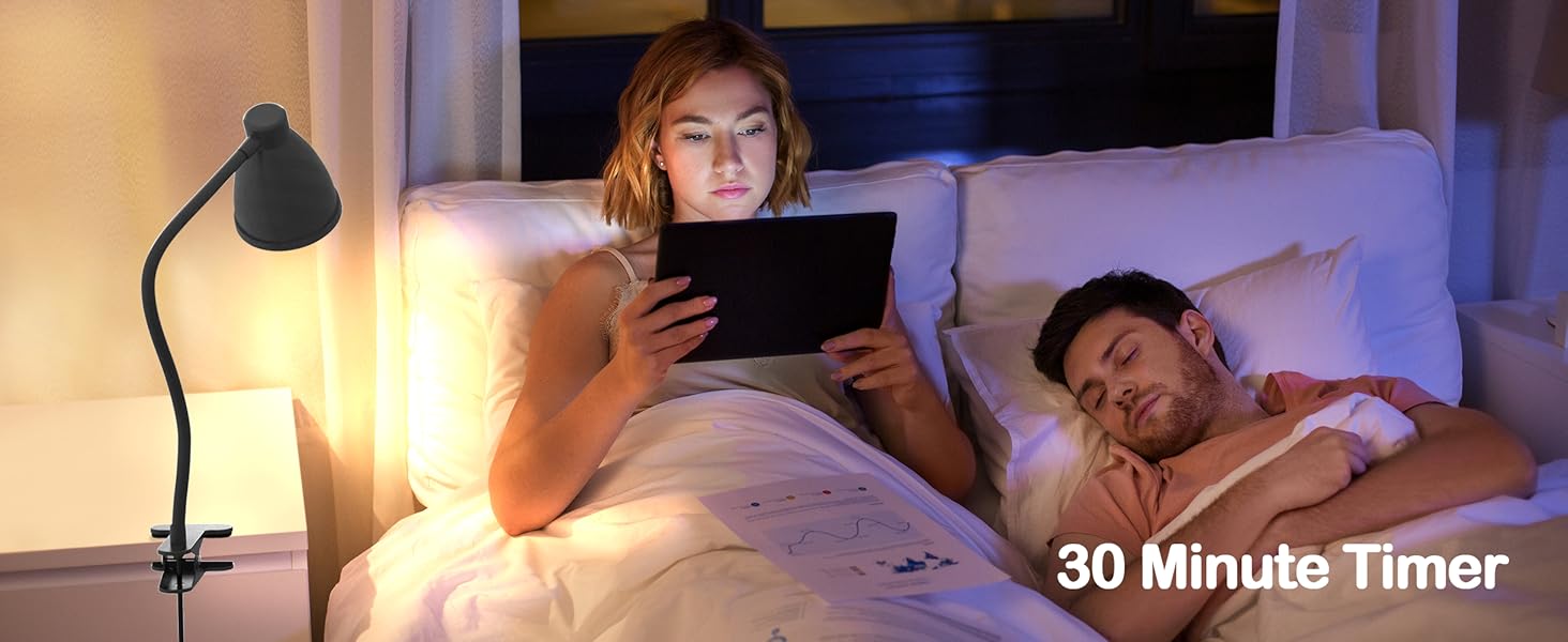 Desk Lamp Reading Light LED Clamp Lamp Flexible Gooseneck Clip on Light for Bed Bedside