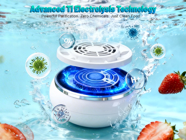 electrolysis fruit washing machine
