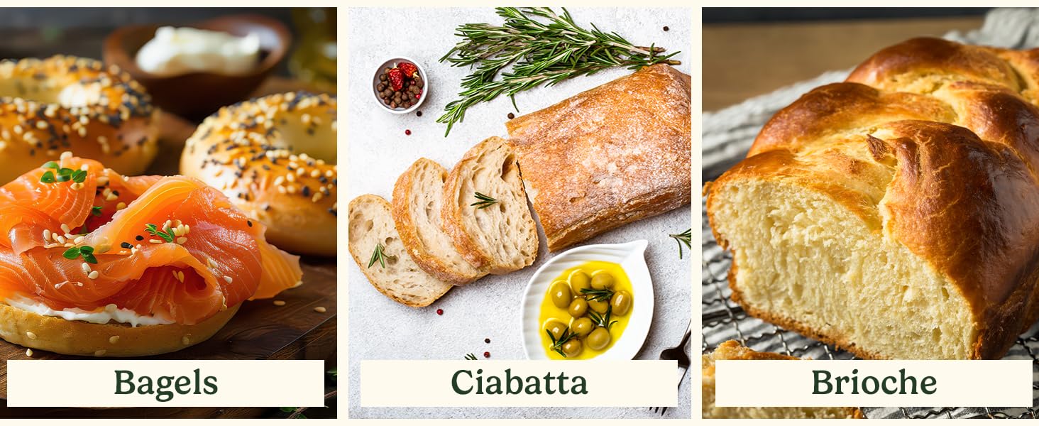 bagels ciabatta brioche