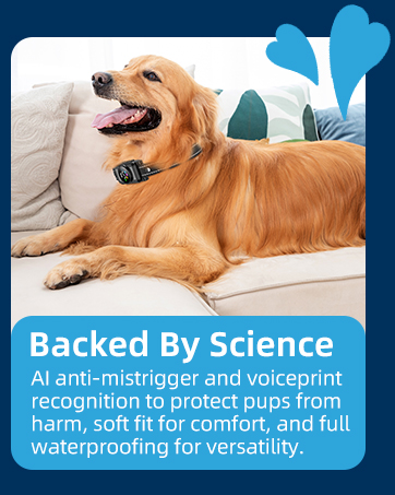 bark collar