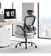 Ergonomic Office Chair - Adjustable Lumbar Support and Headrest, High Back Desk Chair with Flip-U...