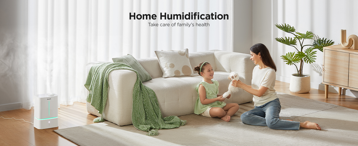humidifier for home