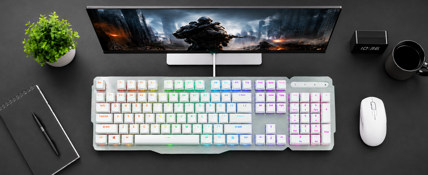layout
