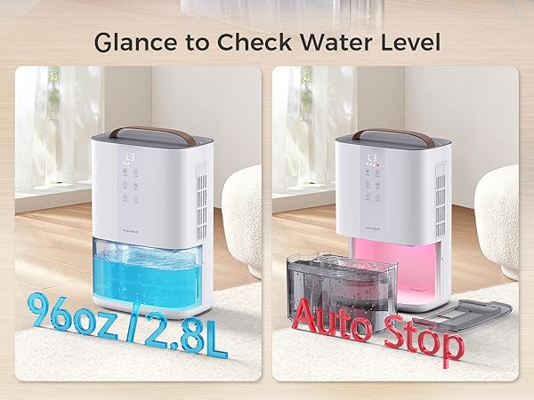 Dehumidifiers for Home