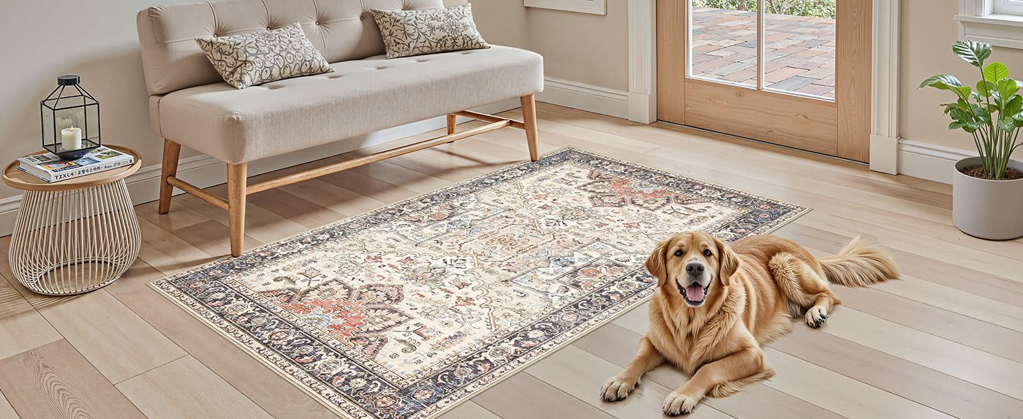 3x5 Washable Indoor Rug