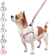 BEAUTYZOO No Pull Small Dog Harness and Leash Set, No Chock Puppy Step in Vest Harness Nylon Ligh...