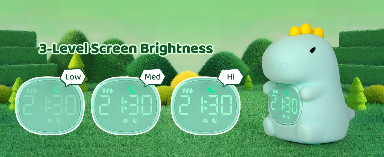 Alarm Clock with Night Light