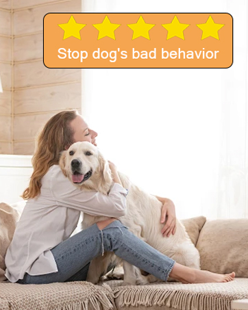 dog whistle to stop barking neighbors dog