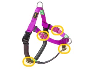anti pull dog harness