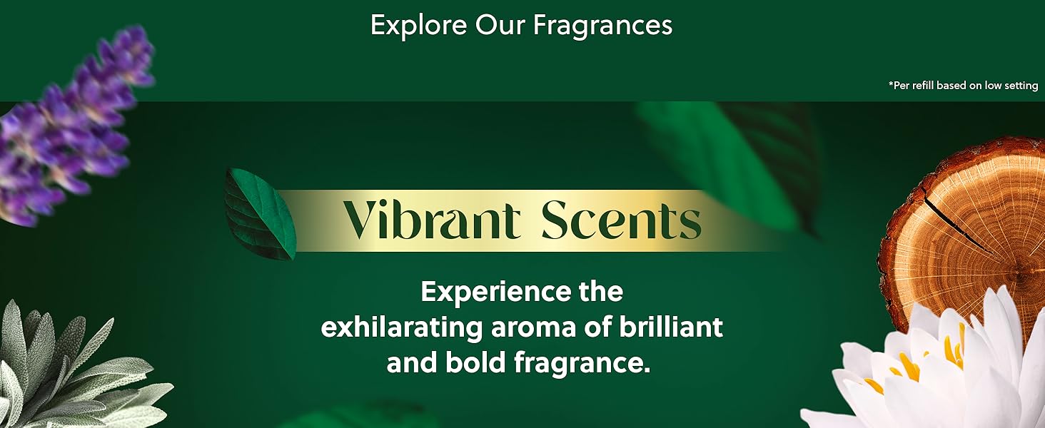 bathroom smell good,bathroom freshener long lasting