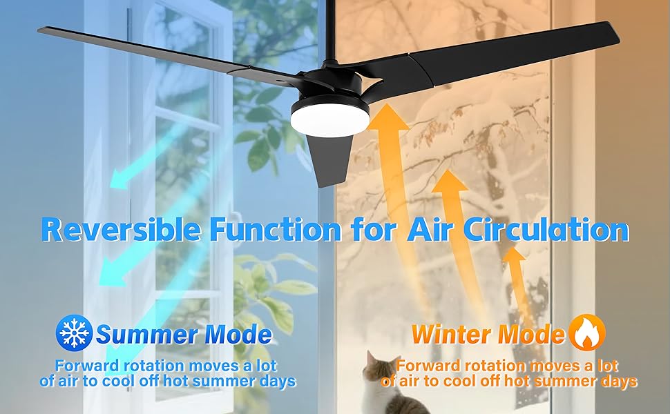 ceiling fan with lights and remote