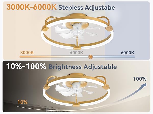 low profile ceiling fan with light