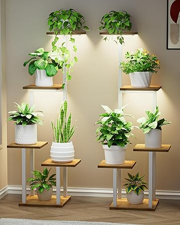 https://m.media-amazon.com/images/S/aplus-media-library-service-media/6d8ff087-be8c-422e-9ff5-7230220d315a.__CR0,0,1810,2265_PT0_SX362_V1___.jpg