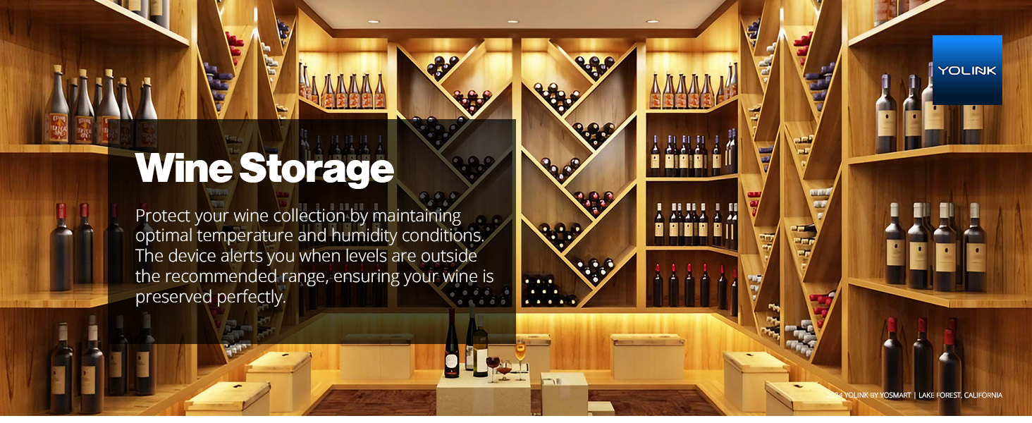 Wine Storage