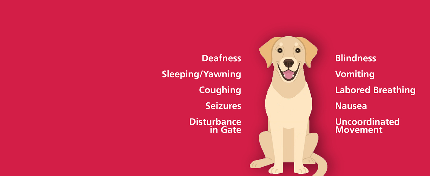 Kidde Smoke &amp; Carbon Monoxide Detector, Lithium Battery Powered, Combination Smoke &amp; CO Alarm