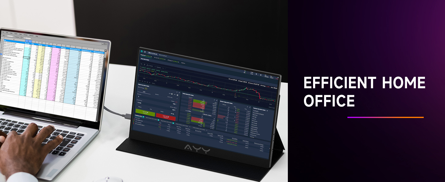 the portable monitor