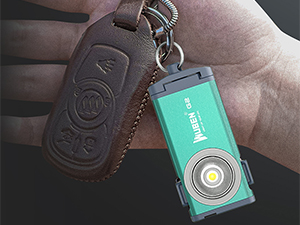 flashlight with clip