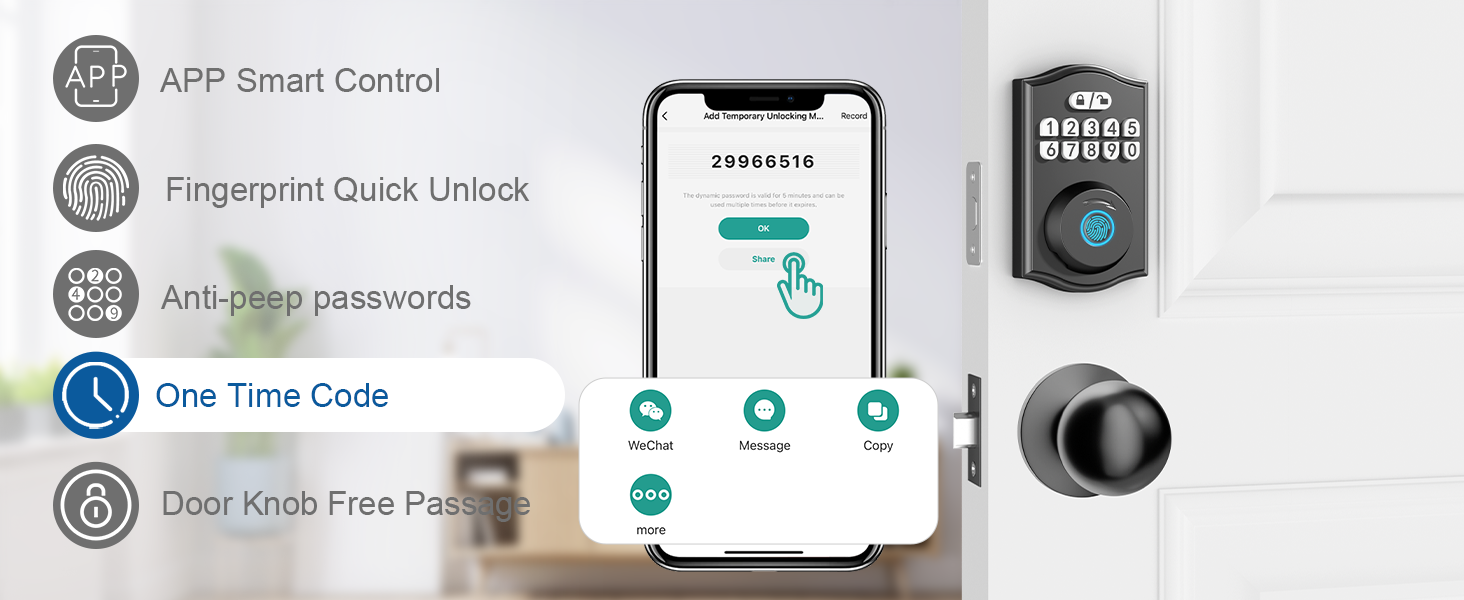 Electronic Door Lock