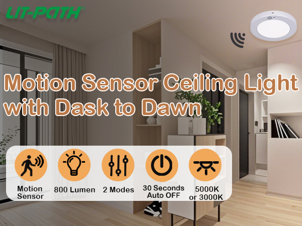 motion sensor ceiling light