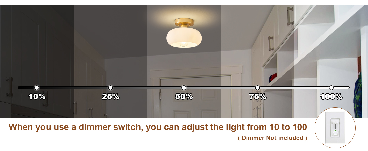 kitchen ceiling light