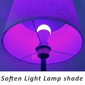Floor lamp with lamp shade