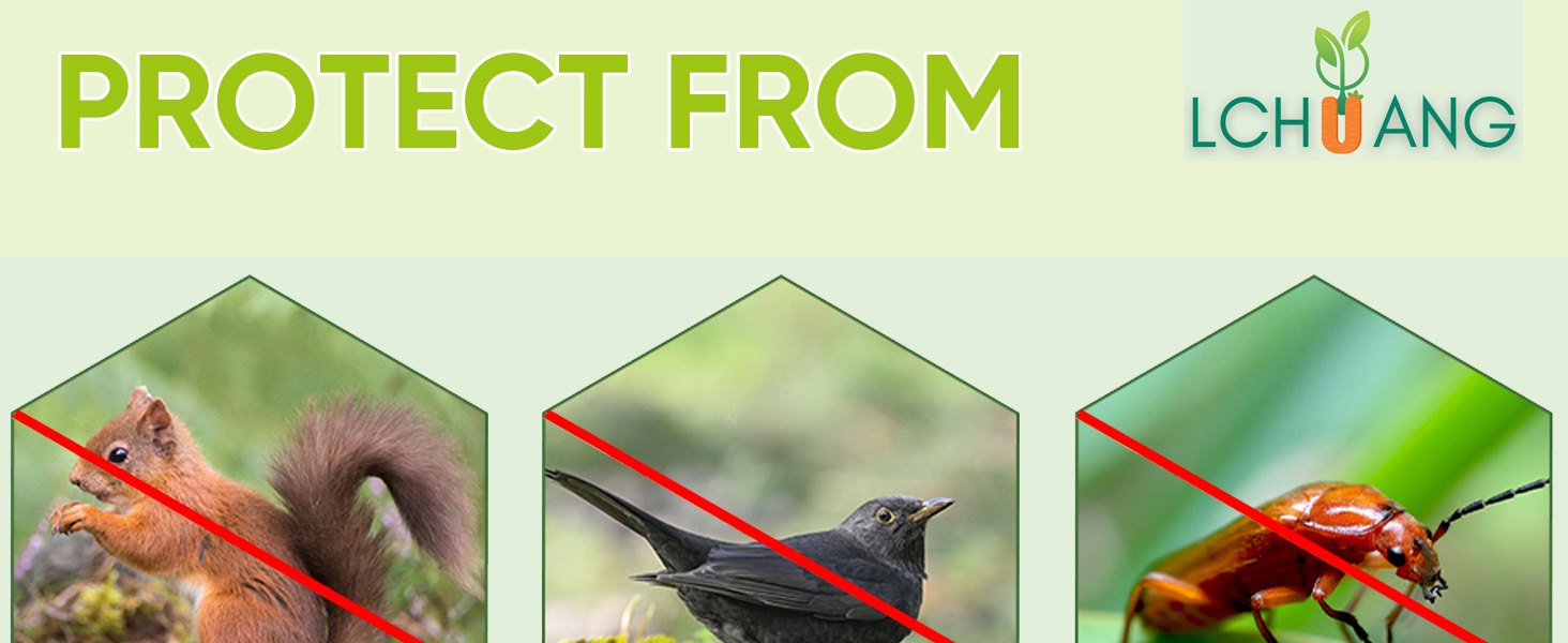 Bird_Garden_Netting_for_Garden_Protection_1