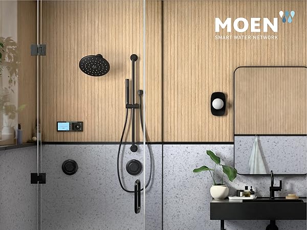 Moen Smart Shower