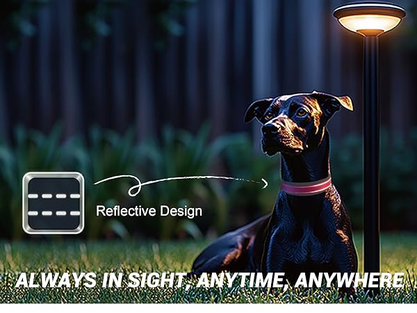 Reflective effect scene image