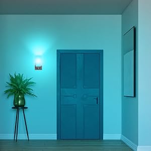 Fits light fixtures with a Medium E26 screw base like lamps, chandeliers, wall sconces, and pendants