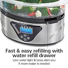 food steamer