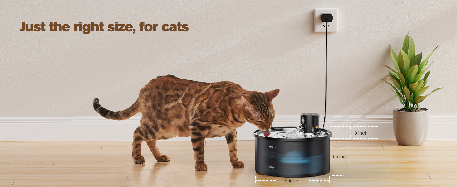 battery powered pet fountainshorter cup battery powered pet water fountain