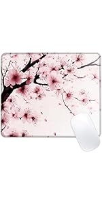 https://m.media-amazon.com/images/I/51MFhG5bqYL.__AC_SR150,300___.jpg