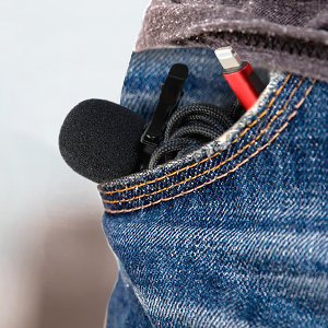 small microphone