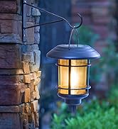 Solar Lights 6 Pack