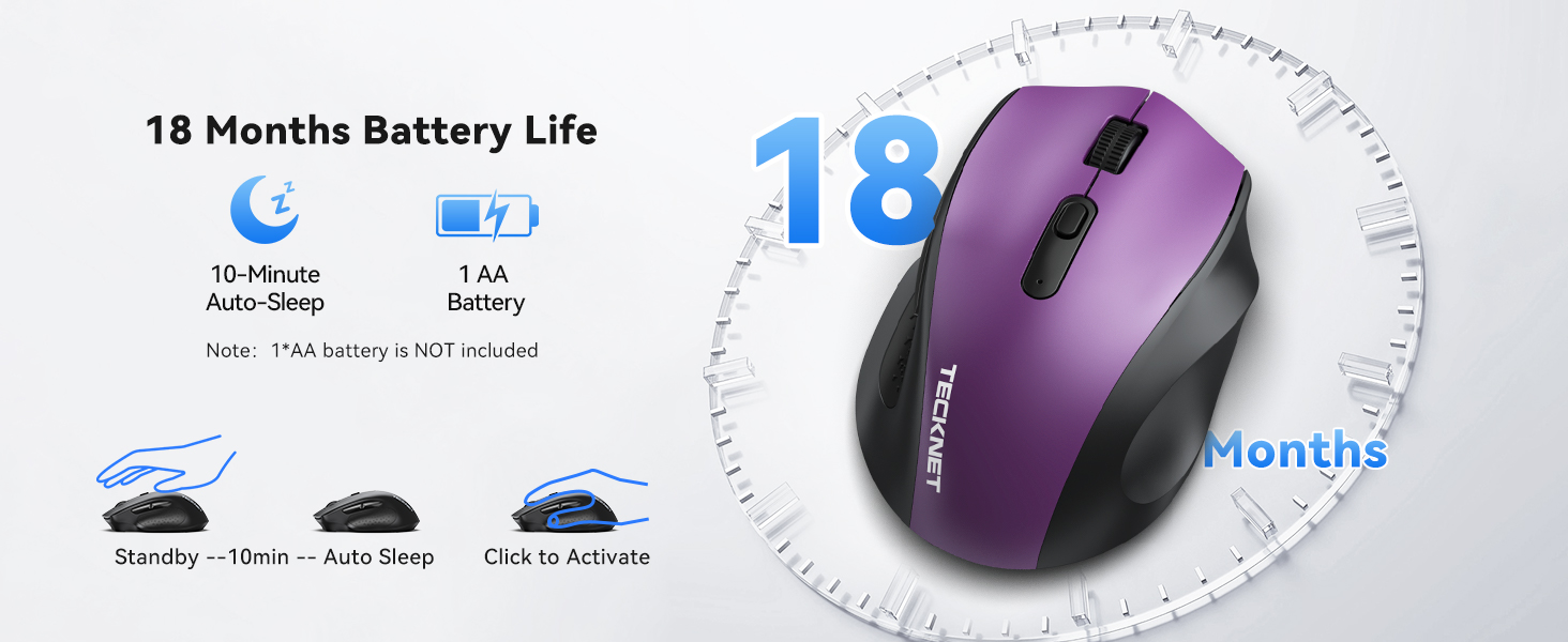 mouse