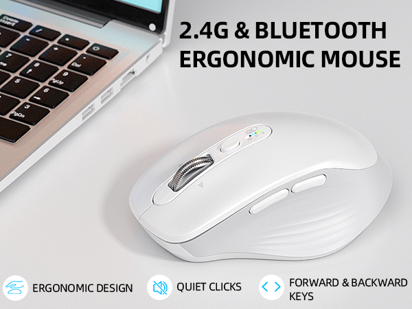 Wireless Bluetooth &amp; USB Multi-Device Ergonomic Mouse