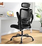 ErGear Ergonomic Office Chair, High Back Desk Chair with Adjustable Lumbar Support and Headrest, ...