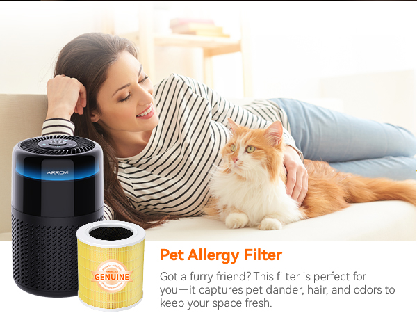 Air purifier filter