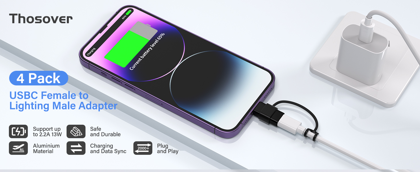 lightning female adapter