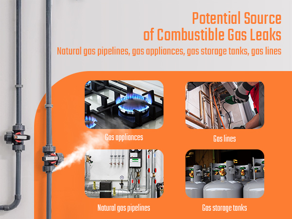 TOPTES PT520A Gas Leak Detector Natural Gas Detector