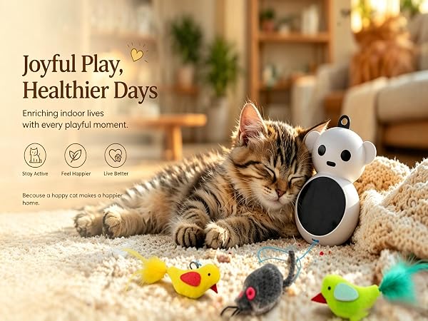 cute cat toys indoor cat toys funny cat toys cat toy bird self play cat toys cat automatic toy