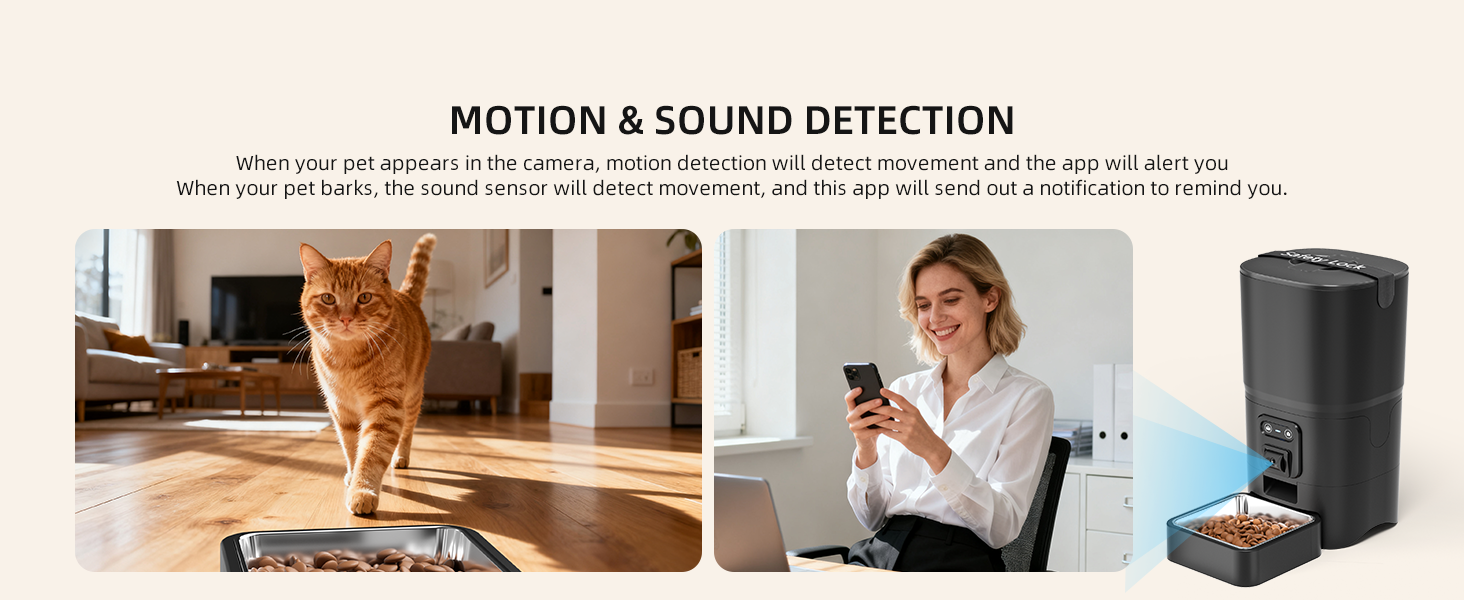 automatic cat feeder