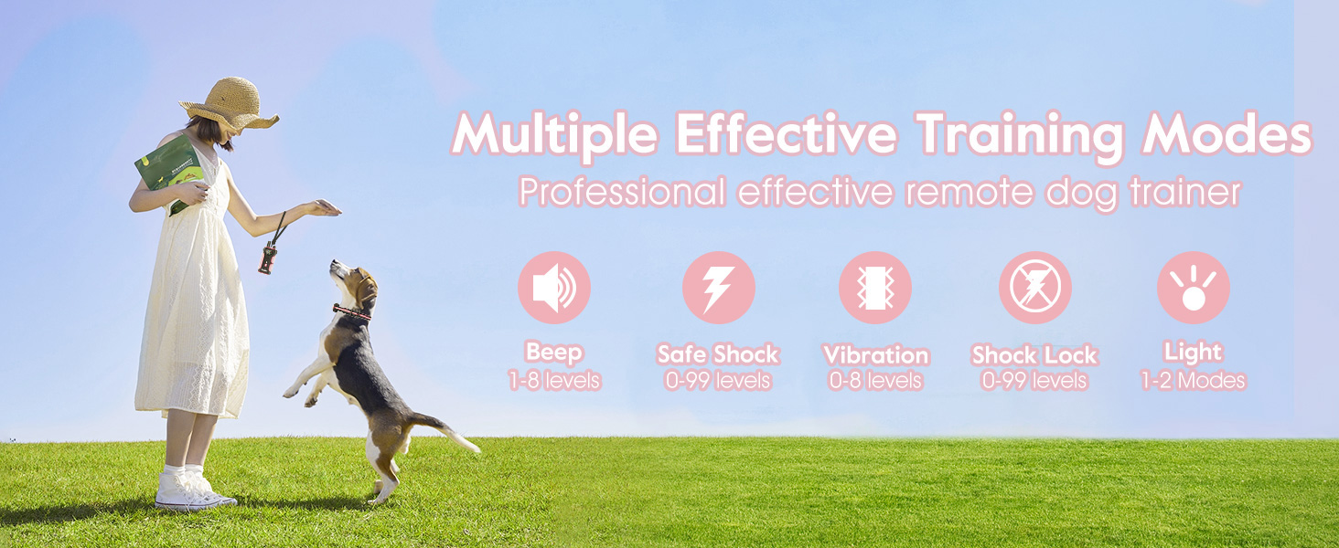 dog shock collar with remote control